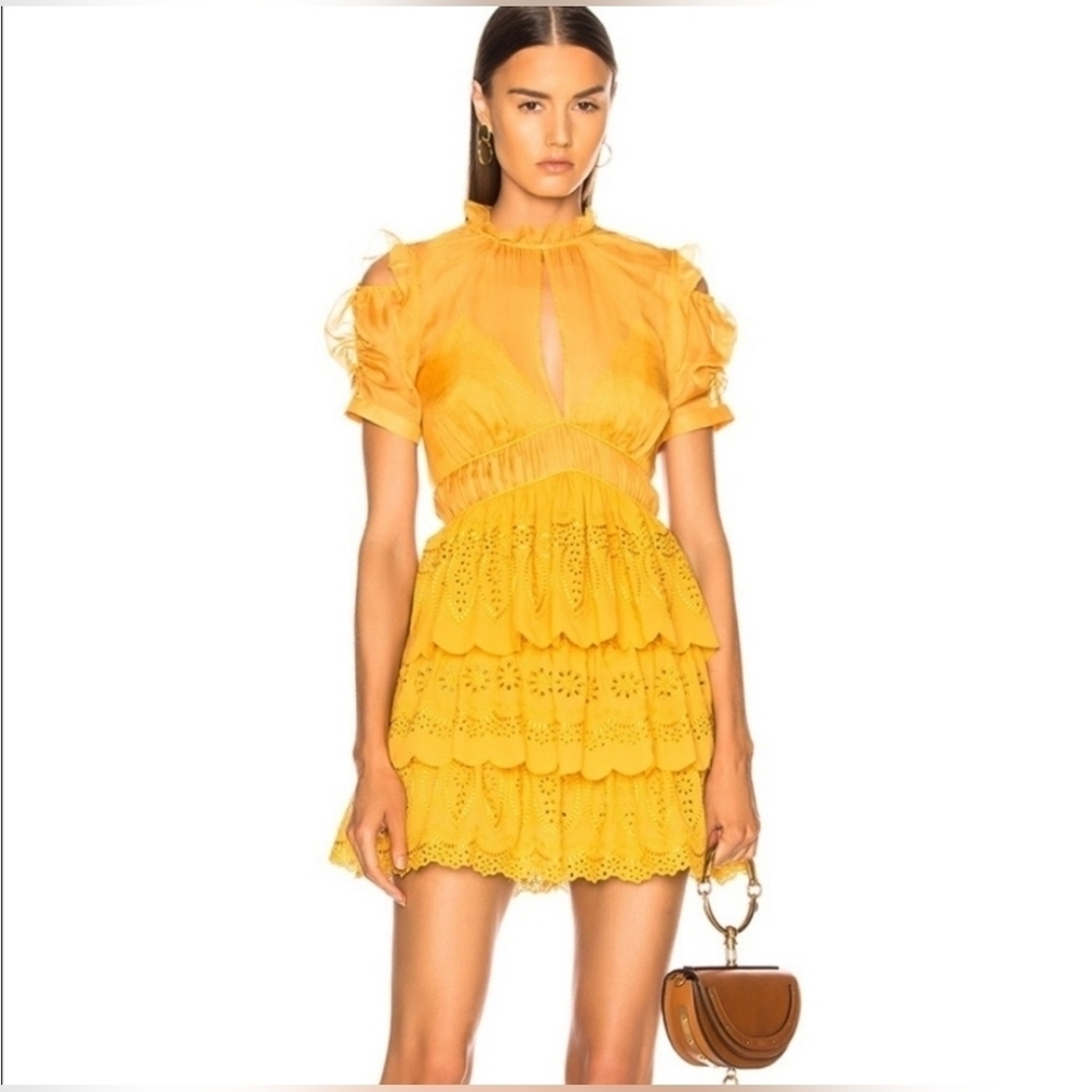Self-Portrait Embroidered Chiffon Tiered Mini Dress Ruffle High Neck Sheer 4